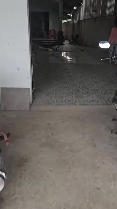 Nhà mặt tiền TL 868, xã Long Khánh, 492m² giá 3.9 tỷ - Đầu tư sinh lời ngay!