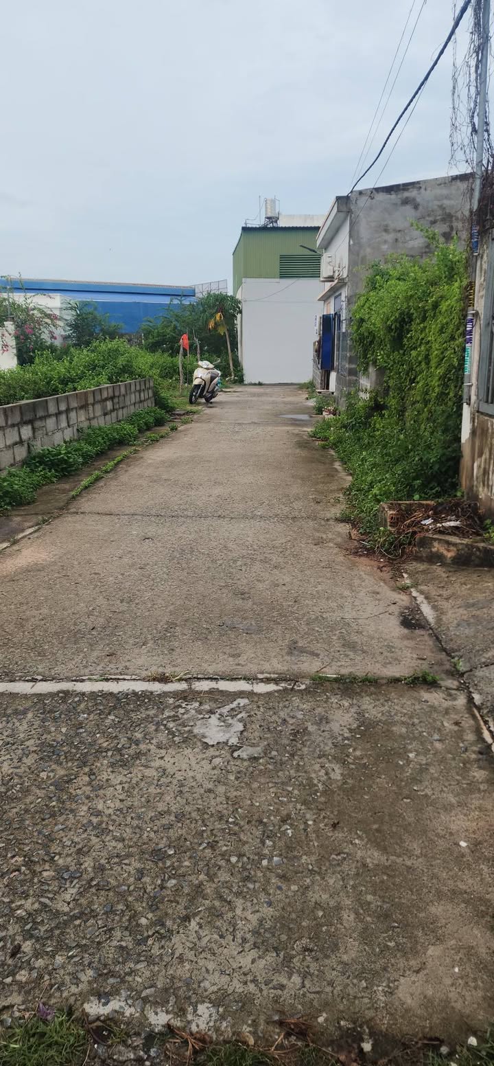 Đất nền Phong Nẫm 91m² giá 1.19 tỷ - Đường ô tô vào tận nơi!