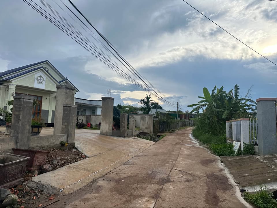 Đất nền Tân Hội, Đức Trọng 100m² giá 690 triệu - Sổ hồng riêng, xây dựng tự do!