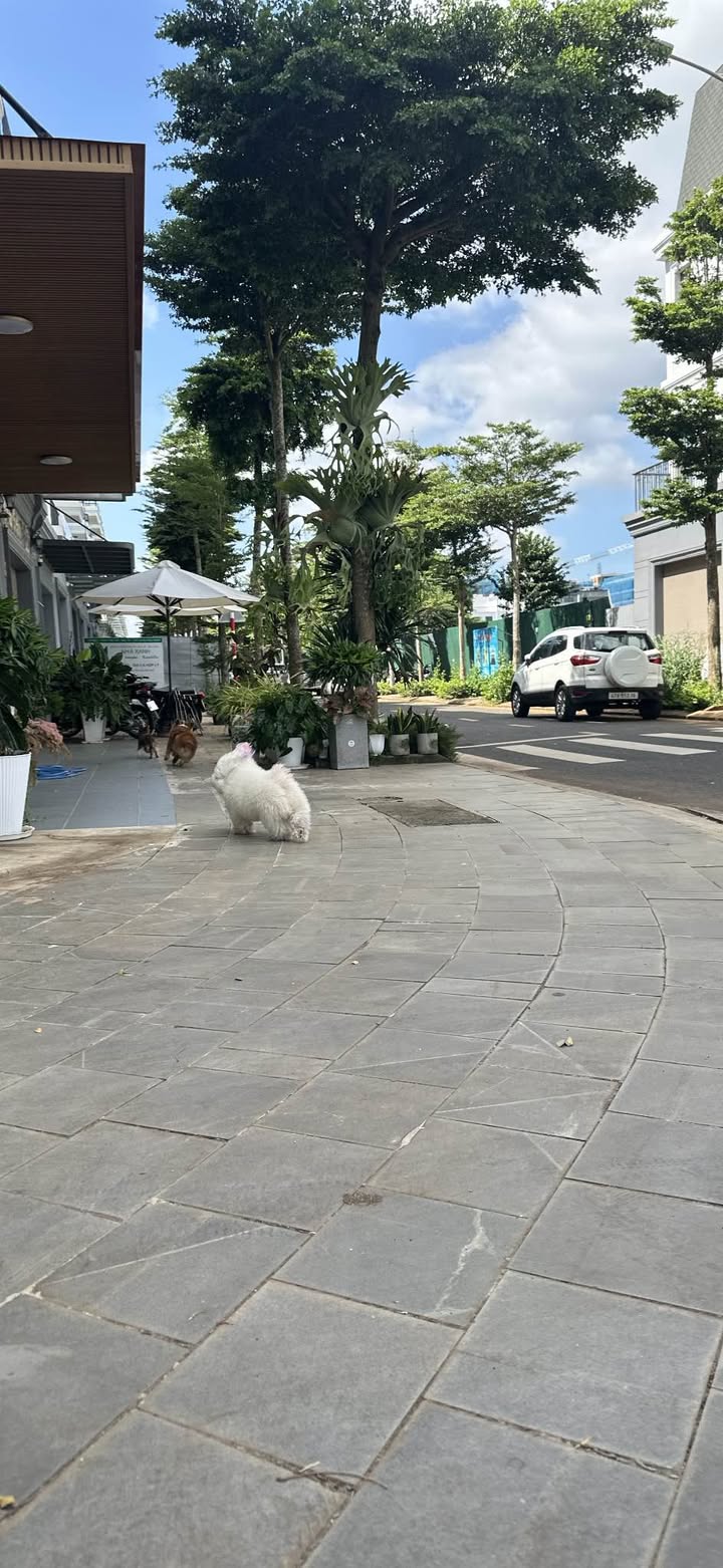 Nhà cho thuê Eco City Premia Buôn Ma Thuột 6 triệu - Full nội thất cao cấp