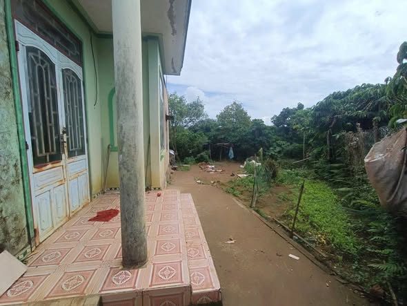 Đất Lộc An 1.3ha giá 1.2 tỷ - Có nhà sẵn, thu nhập ổn định!