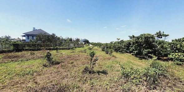 Đất thổ cư Bảo Lộc 985m² giá 1.8 tỷ - Đầu tư sinh lời ngay!