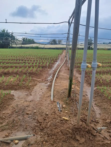 Đất nền 5 sào xã Ka Đô Đơn Dương giá 5 tỷ - Mặt tiền bê tông tuyệt đẹp!