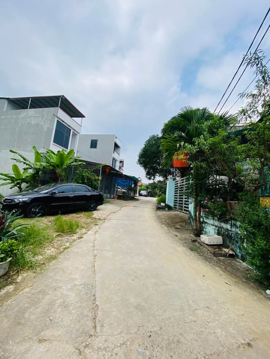 Đất thổ cư phường Ỷ La, Tuyên Quang 84m² giá 1.45 tỷ - Cần bán gấp chính chủ!