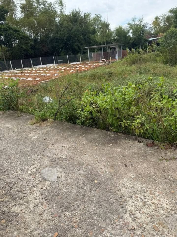 Đất nền Bình Nguyên Thăng Bình 167m² giá thỏa thuận - Hướng Đông, vị trí đẹp!