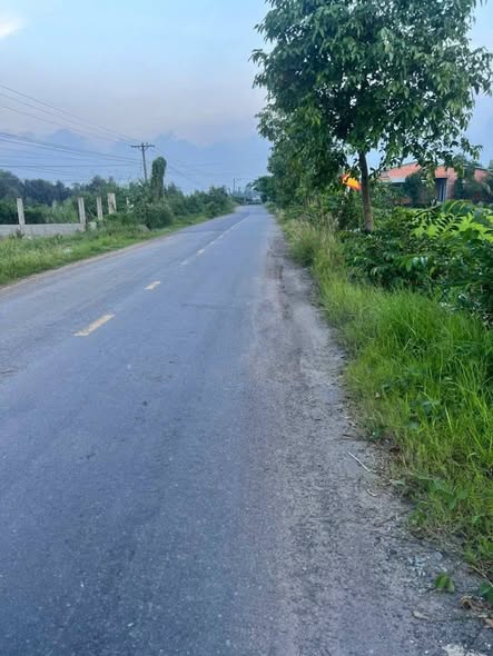 Đất Mặt Tiền An Sơn 6.746m² giá 7.5 tỷ - Tiềm năng đầu tư lớn!