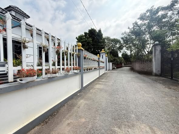 Đất kinh doanh Hoàng Hoa, Tam Dương, 113m² giá chỉ 800 triệu - Cơ hội đầu tư tuyệt vời!