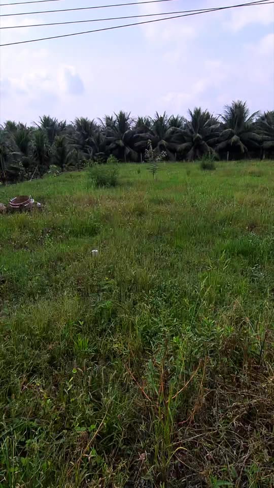 Đất mặt tiền Huyện Lộ 90C, Đạo Thạnh, Mỹ Tho 125m² - Đầu tư sinh lời ngay!