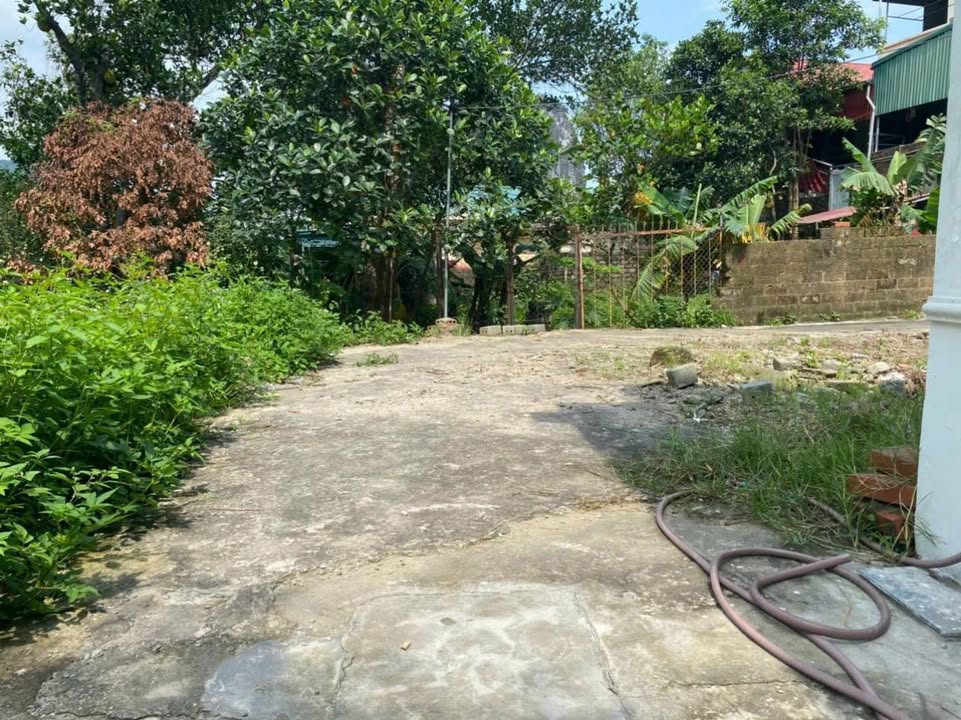 Đất nền Cẩm Thạch 63m² giá 5 tỷ - Đầu tư sinh lời hấp dẫn!