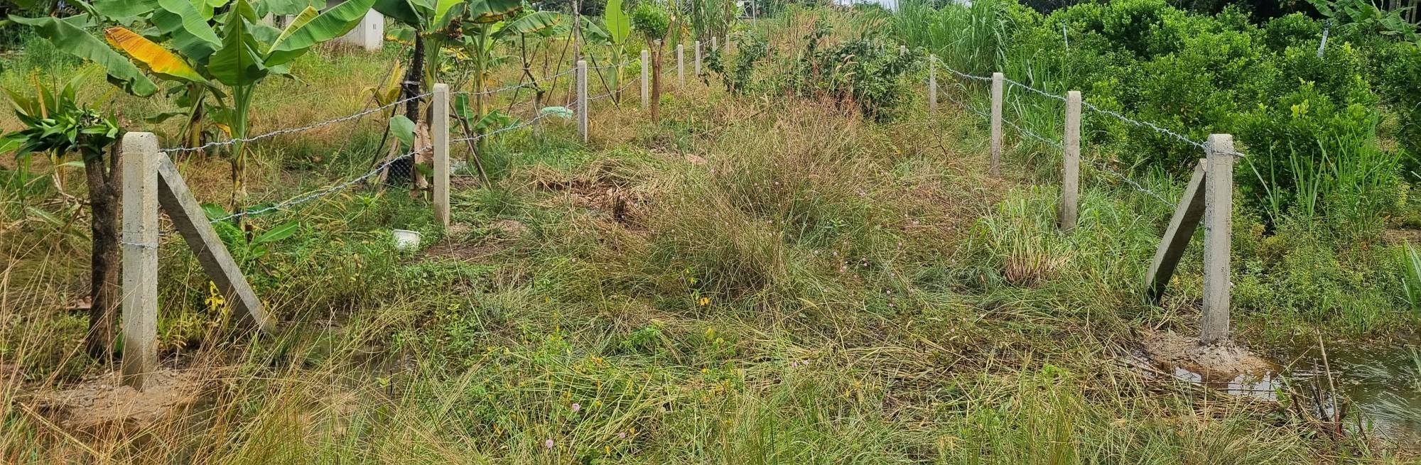 Đất nền Trà Vong, Tân Biên 260m² giá 310 triệu - Mặt tiền đường nhựa chuẩn bị thi công!