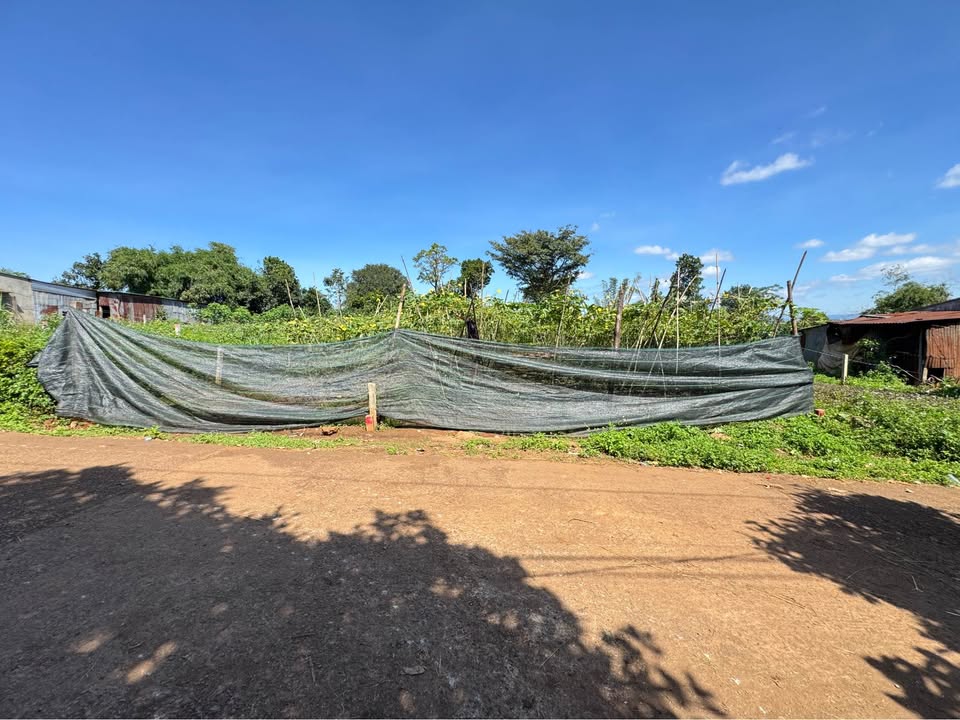 Đất nền An Phú Pleiku 232m² giá chỉ 3xx triệu - Đầu tư sinh lời ngay!