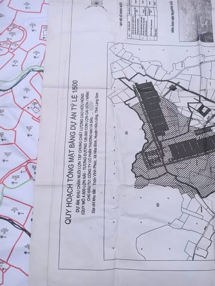 Đất Farm Đồng Tiến Hữu Lũng 3.5ha giá thỏa thuận - Cơ hội đầu tư hấp dẫn!