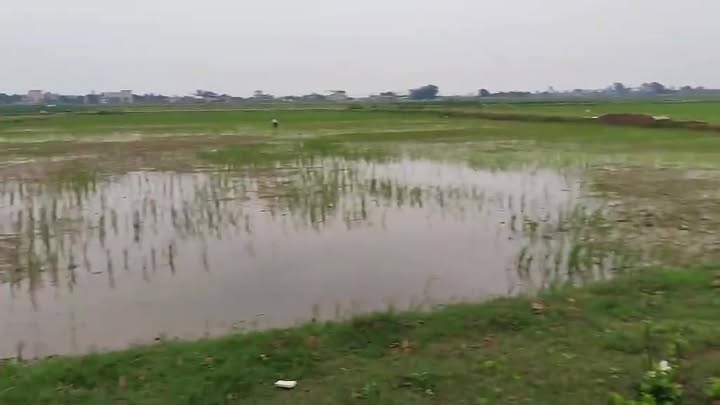 Đất nền tại xã Nga Tiến, huyện Nga Sơn, 140m² - Hướng Nam, giá thỏa thuận hấp dẫn!