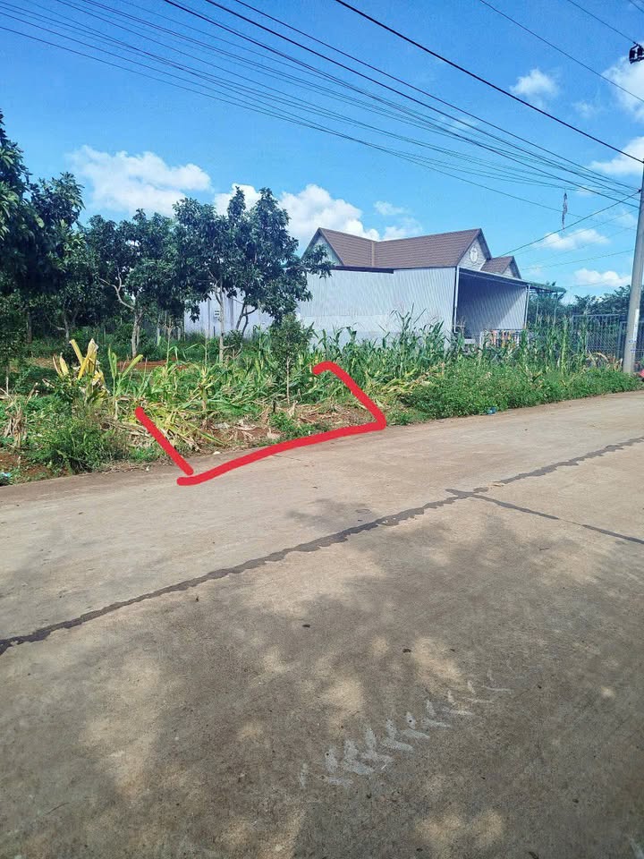 Đất nền Bùi Huy Bích, Buôn Hồ 400m² giá 1.3 tỷ - Vị trí đắc địa gần chợ, trường học!