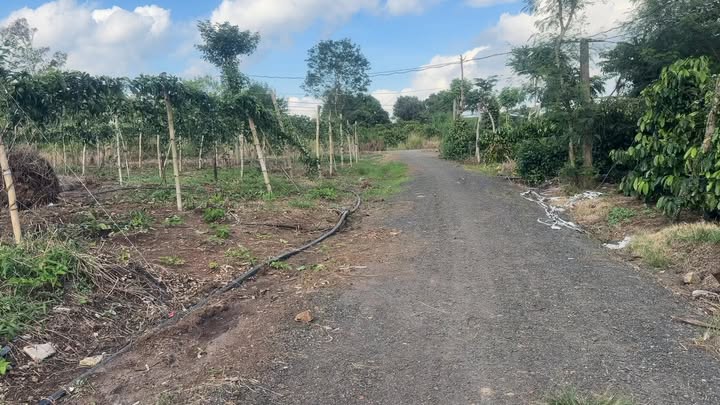 Đất nền liền kề 360m² tại Thôn Tân Lộc, Đắk Lắk - Giá chỉ 200 triệu!