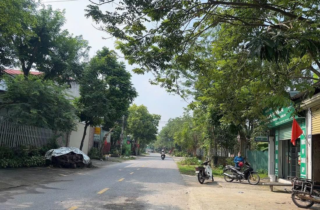 Đất mặt đường Tỉnh 305, Yên Lạc 100m² giá 2 tỷ - Đầu tư kinh doanh lý tưởng!