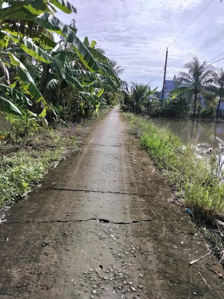 Đất nền 3.6 công tại xã Vị Thủy, Hậu Giang giá chỉ 850 triệu - Cơ hội đầu tư tuyệt vời!