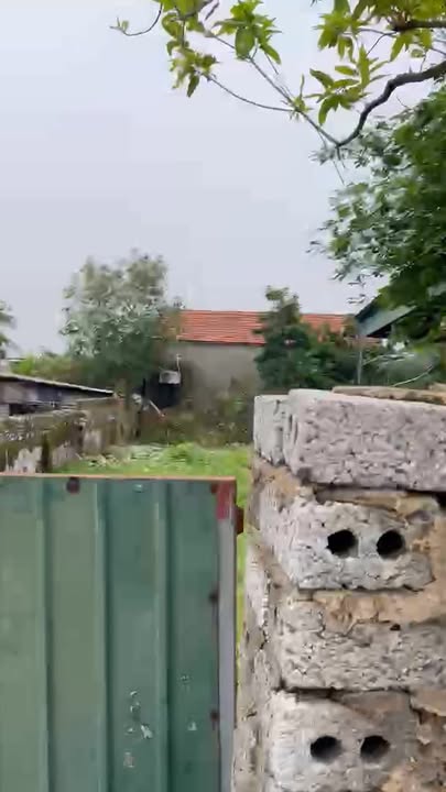 Đất lô góc 2 mặt đường tại thị trấn Cầu Giát, Quỳnh Lưu 294,9m² giá 2 tỷ - Cơ hội đầu tư hấp dẫn!