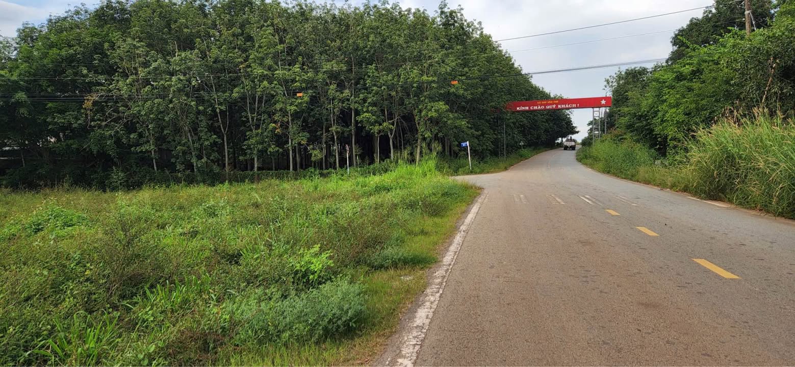 Đất nền Trừ Văn Thố, Bàu Bàng 250m² - Sổ đỏ chính chủ, giá thỏa thuận!