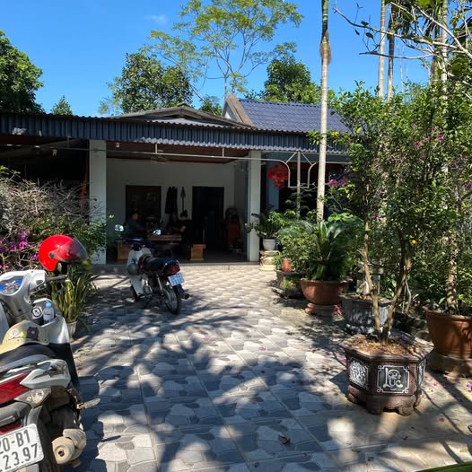 Đất nền đẹp tại Đại Phúc, Thái Nguyên 850m² giá chỉ 2 tỷ - Đầu tư sinh lời ngay!