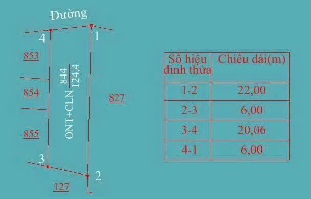 Đất nền Thiện Kế 124m² - Đầu tư lý tưởng, giá thỏa thuận!