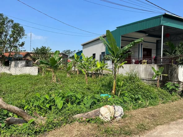 Đất Quỳnh Vinh Hoàng Mai 157m² - Cơ hội đầu tư hấp dẫn!