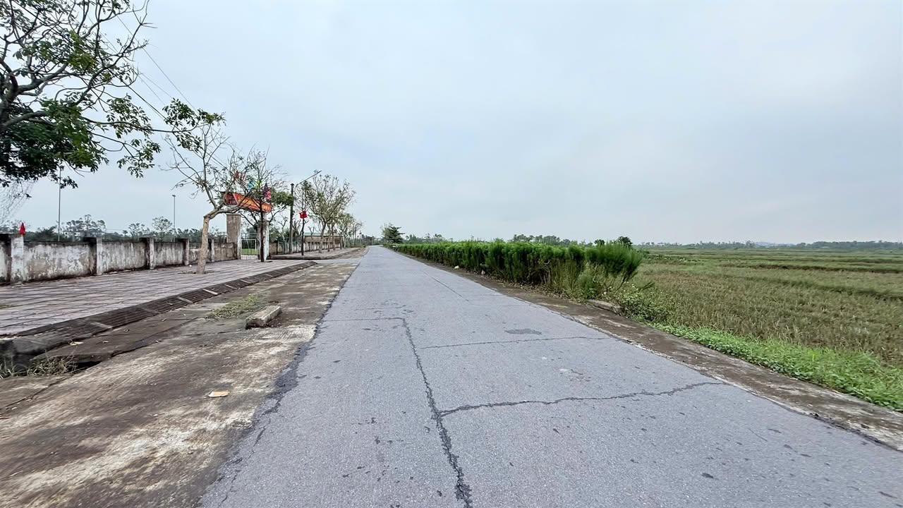 Đất mặt đường Liên Xã Thạch Thắng 150m² giá 1.1 tỷ - Kinh doanh tốt!