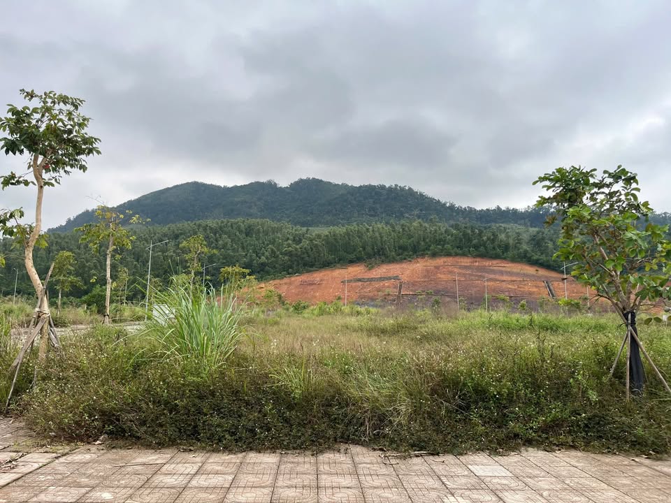 Đất nền Vân Đồn 250m² mặt tiền 10m - Vị trí đắc địa ngay trung tâm Casino!