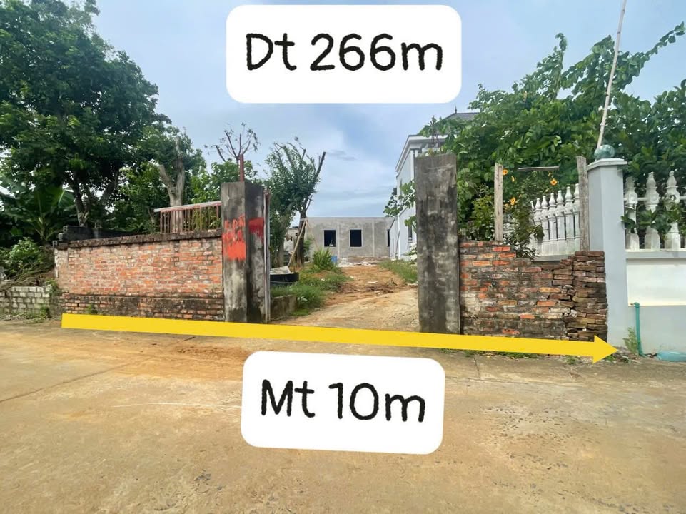 Đất nền Phú Cát, Quốc Oai 266m² giá 5.32 tỷ - Sổ hồng chính chủ, đầu tư sinh lời!