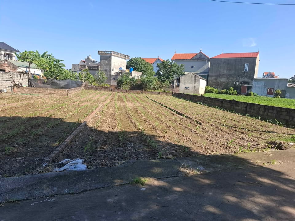 Đất nền Minh Tân Lương Tài 96m² giá 1.1 tỷ - Tiềm năng đầu tư lớn!