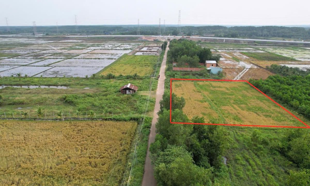 Đất nền Phước An Nhơn Trạch 1.794m² giá 6 tỷ - Tiềm năng đầu tư sinh lời!