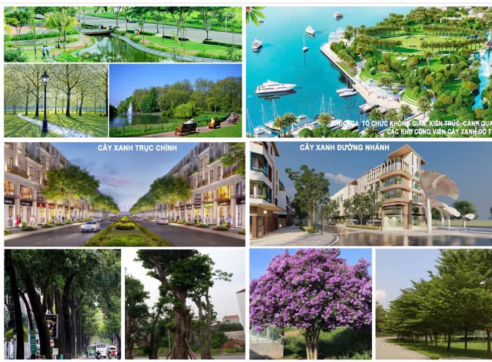 Đất nền Vinhome Hạ Long Xanh 100m² giá 2.2 tỷ - Vị trí đắc địa, thanh khoản nhanh!