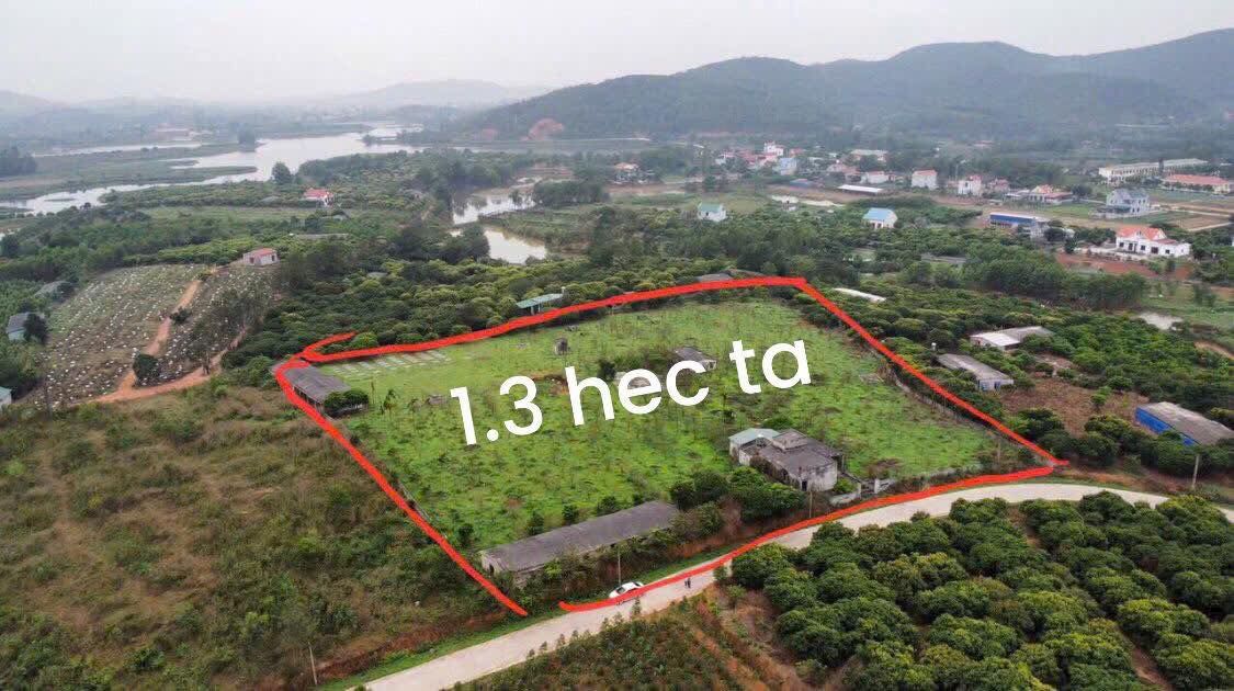 Đất nền Bến Tắm, Chí Linh 1,3 hecta giá 6 tỷ - Tiềm năng đầu tư vượt trội!