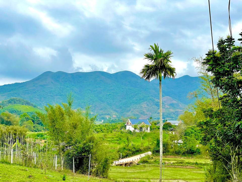 Đất thổ cư Hợp Phong Cao Phong 750m² giá 1.25 tỷ - View cánh đồng tuyệt đẹp!