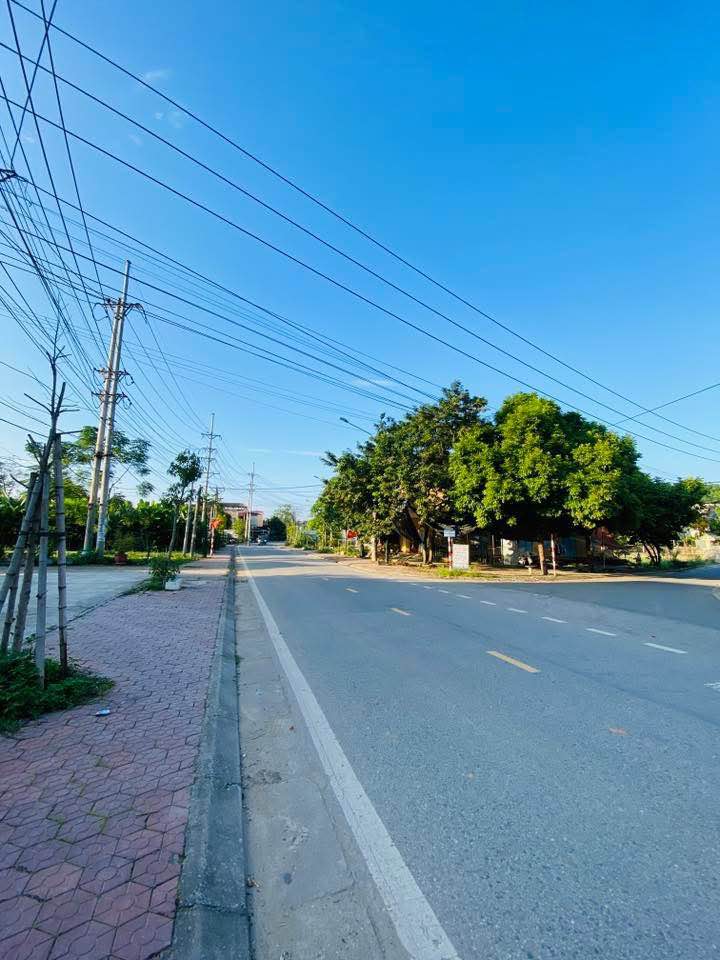 Đất nền Tân Hà, Tuyên Quang 100m² giá 3 tỷ - Cần bán gấp chính chủ!