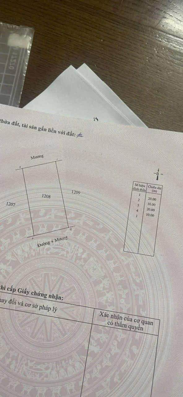 Đất đấu giá Nghi Trường 200m² giá chỉ 3.8 tỷ - Cơ hội đầu tư sinh lời!