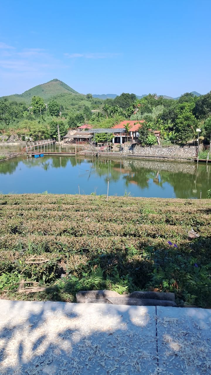 Đất nền Phúc Xuân Thái Nguyên 1800m² giá 4.68 tỷ - Tiềm năng đầu tư lớn!