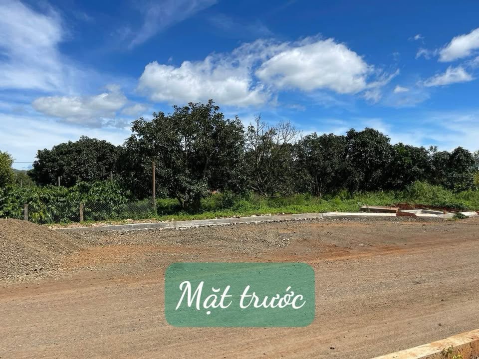 Đất mặt tiền Phạm Hùng & Đào Duy Từ 2100m² giá 350 triệu - Tiềm năng phát triển mạnh mẽ!