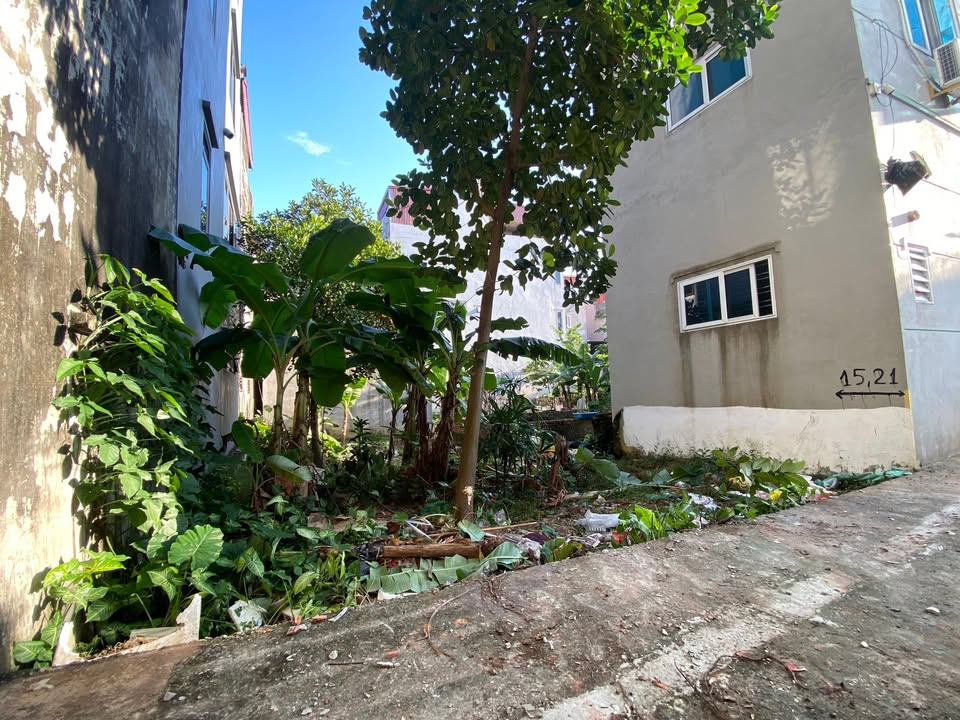 Đất ở Đản Dị, Uy Nỗ 96m² giá 700 triệu - Sổ đỏ chính chủ, đầu tư sinh lời!