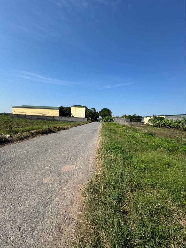 Biệt thự 200m² mặt tiền 10m tại Kiến Xương - Giá chỉ 2 tỷ!