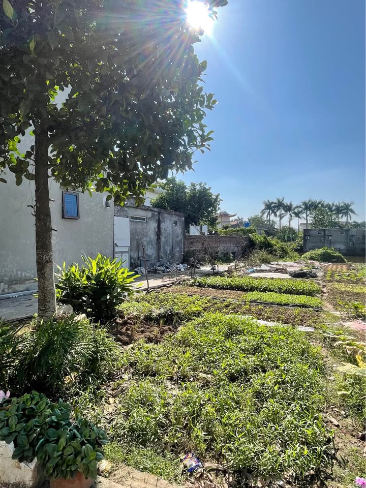 Đất nền lô góc Hoàng Diệu 48m² chỉ 1.8 tỷ - Đầu tư sinh lời ngay!