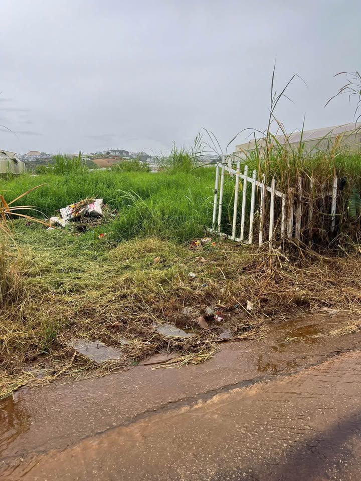 Đất Vạn Thành Đà Lạt 685m² giá 4.5 tỷ - Đầu tư sinh lời ngay!