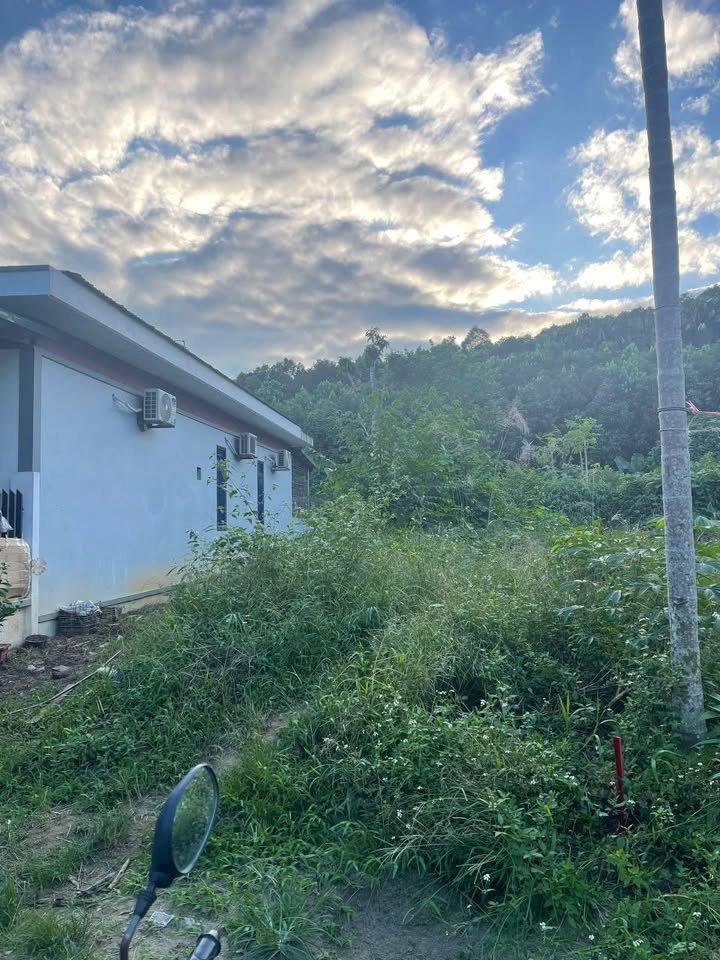 Lô đất đẹp tại đường Láng Tròn, phường Nam Cường, 121m² - Tiềm năng sinh lời cao!