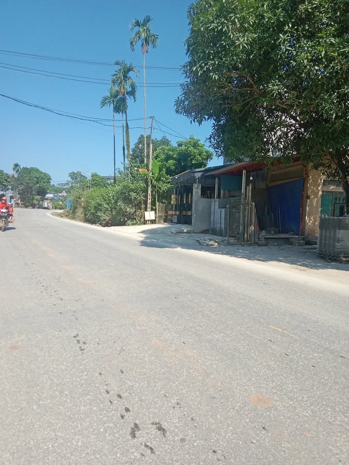 Đất nền Phú Thịnh, Yên Bình 130m² giá 800 triệu - Kinh doanh thuận lợi!