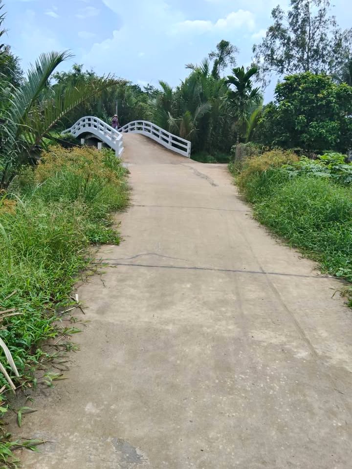 Đất nền 150m² tại ấp Xà Xiêm, xã Bình An - Giá chỉ 200 triệu VND, cơ hội đầu tư hấp dẫn!