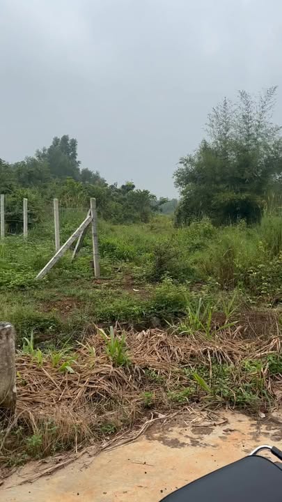 Đất nền Thanh Phú, Bình Long 360m² giá 270 triệu - Cơ hội đầu tư tuyệt vời!