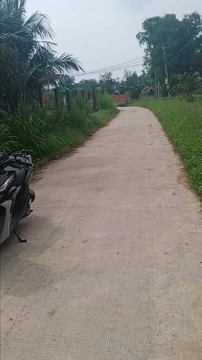 Đất nền Mỹ Hạnh Nam 313m² giá 1.75 tỷ - Sổ đỏ chính chủ, phù hợp kinh doanh!