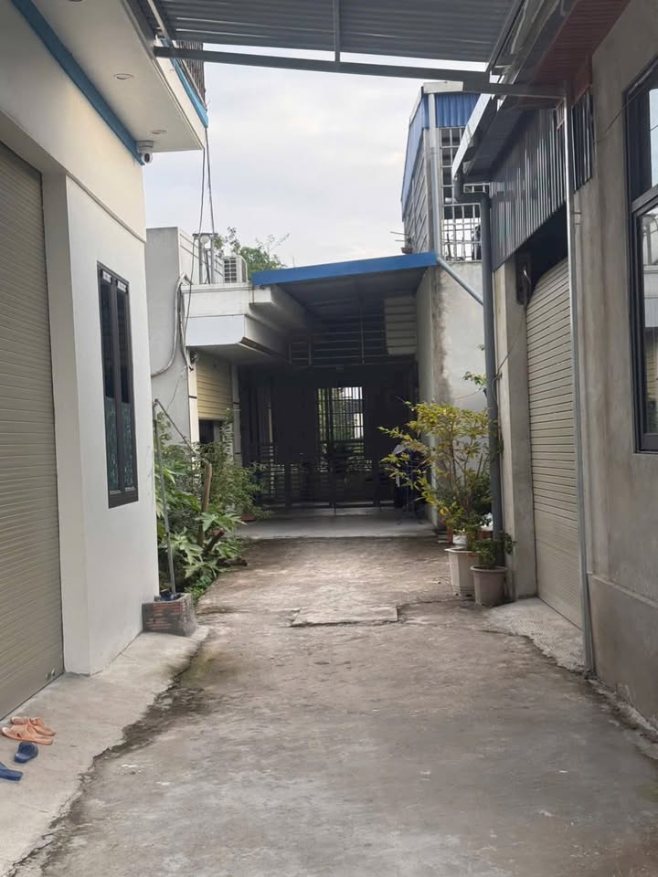 Đất nền An Luận, An Tiến 63m² giá 800 triệu - Mặt tiền 6.4m, xây nhà ngay!