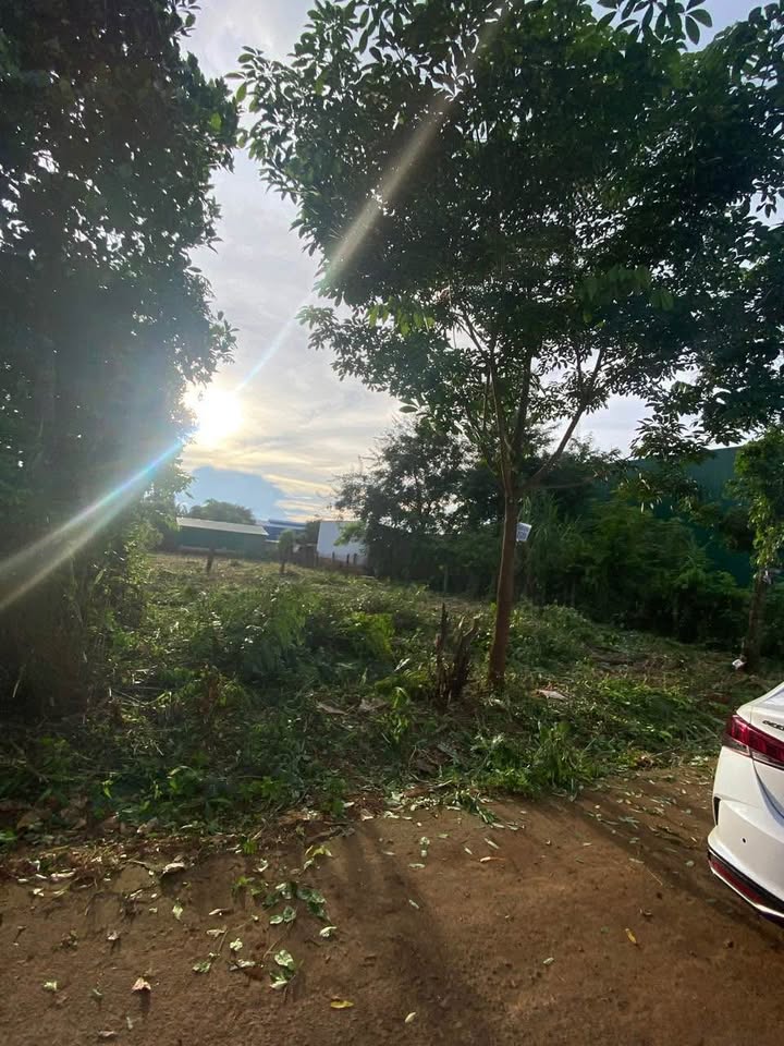 Đất đường Phạm Ngũ Lão, Buôn Ma Thuột 240m² giá 1.95 tỷ - Kinh doanh sầm uất!