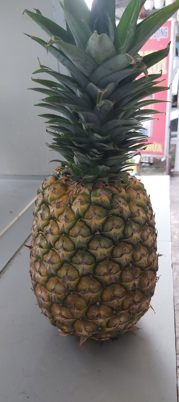 Bán nhà mặt tiền Lê Vĩnh Hòa, Tân Phú - 119m², giá 23 tỷ - Đầu tư kinh doanh sinh lời!